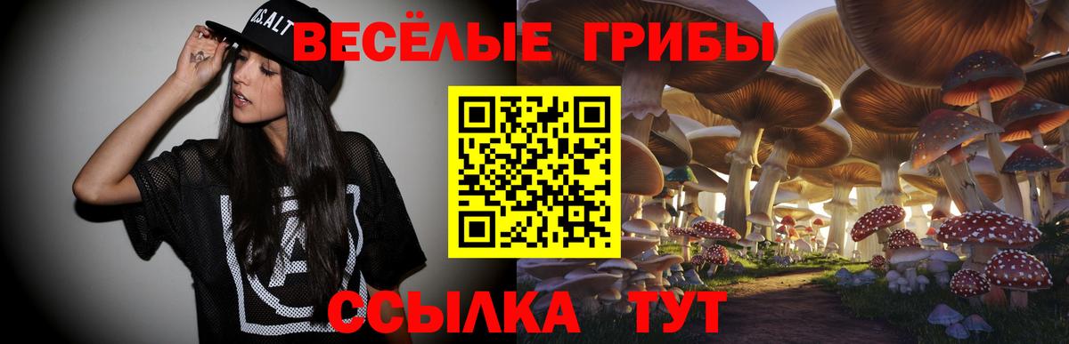 Галлюциногенные грибы Psilocybine cubensis Павловский Посад